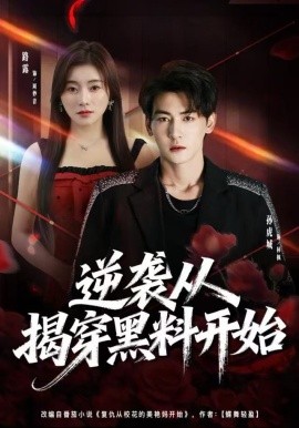 逆袭从揭穿黑料开始（80集）孙虎城＆路露 (2025)-多米联创