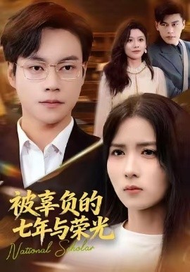 被辜负的七年与荣光(76集)何思瑾 (2025)-多米联创