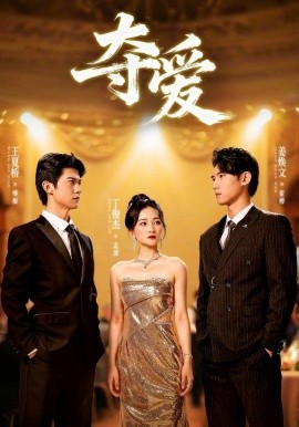 夺爱（55集）丁俊杰＆姜焕文 (2025)-多米联创