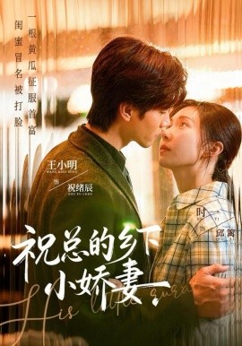 祝总的乡下小娇妻（79集）时一＆王小明 (2025)-58创客