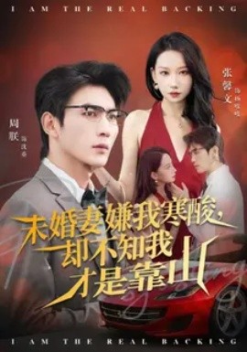 未婚妻嫌我寒酸，却不知我才是靠山（70集）张馨文&周朕 (2025)-申水仓