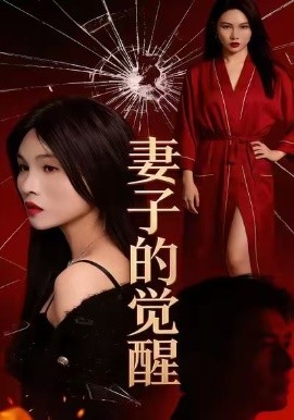 妻子的觉醒(34集)李乐川&陈佳琦 (2025)-多米联创