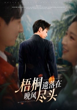 梧桐遗落在晚风尽头＆棠花不识旧时月（71集）赵琪&蒋未 (2025)-多米联创