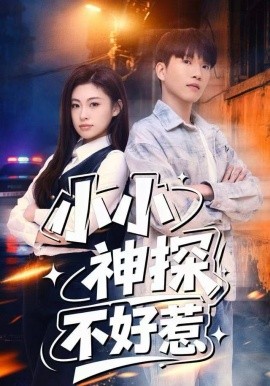 小小神探不好惹（80集）薛一凤&王奥龙 (2025)-58创客
