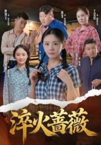 淬火蔷薇（50集）邱诗越&张正&魏龙 (2025)-多米联创