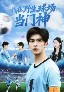 我在野生球场当门神(31集)(2025)-多米联创