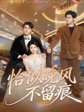 恰似晚风不留痕(61集)田不凡&孔莹莹 (2025)-多米联创