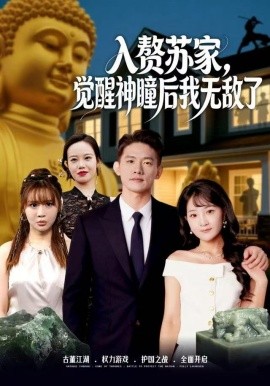 入赘苏家，觉醒神瞳后我无敌了（80集）梁溪＆朱信宗 (2025)-58创客