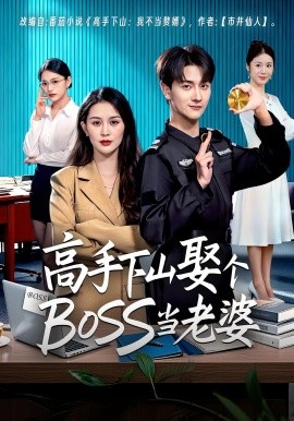 高手下山娶个BOSS当老婆（60集）李茉&李亚云 (2025)-申水仓