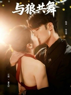 与狼共舞（60集）张达塬＆董文轩 (2025)-多米联创