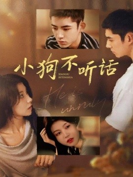 小狗不听话（70集）马浩东＆何田田 (2025)-申水仓