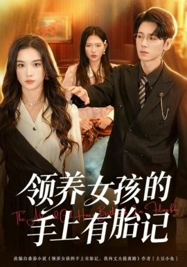 领养女孩的手上有胎记(60集)王宇婧&刘君尧 (2025)-多米联创