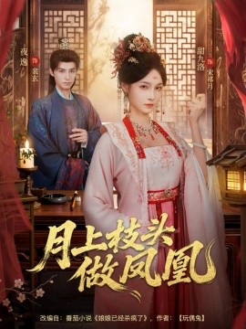 月上枝头做凤凰（80集）夜逸＆甜九洛 (2025)-多米联创