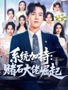 系统加持：赌石大佬崛起＆少年赌神：从原石到顶流（77集）田杨＆李芝桦 (2025)-多米联创