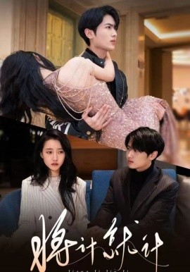 将计就计（78集）孙嘉俊＆金凌子 (2025)-多米联创