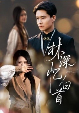 林深忆白首（60集）张佳艺&翟兆星 (2025)-多米联创