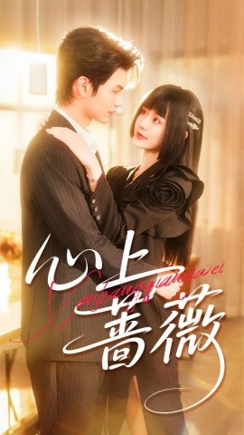 心上蔷薇（100集）张嘉松＆刘安歌 (2025)-申水仓