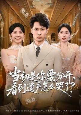 当初是你要分开，看到遗产怎么哭了？（70集）霍俊全＆金珊＆曹瑶佳 (2025)-58创客