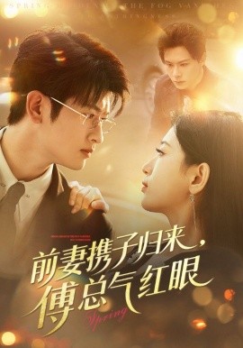 前妻携子归来，傅总气红眼（70集）李雪莹&刘子豪 (2025)-多米联创