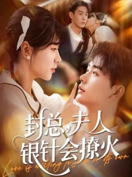 封总,夫人银针会撩火(69集)张昊&徐海文 (2025)-多米联创