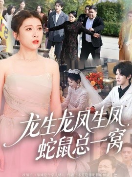 龙生龙凤生凤,蛇鼠总一窝(60集)曹淼&牛韵暄 (2025)-多米联创