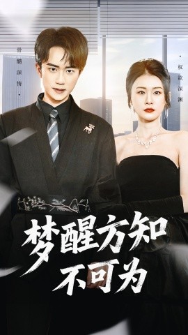 梦醒方知不可为（49集）李永臻＆叶一宁 (2025)-多米联创