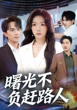 曙光不负赶路人（75集）姚初淼&李永臻 (2025)-多米联创