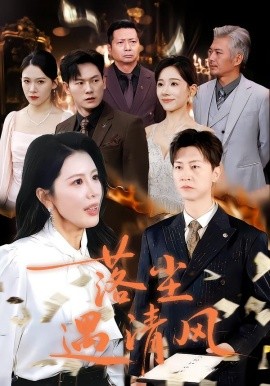 落尘遇清风＆离婚而已（74集）丁海霞&王鹏 (2025)-多米联创