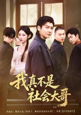 我真不是社会大哥（80集）初汶轩&哲博 (2025)-多米联创