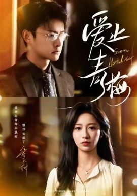 爱止青梅（60集）杨欢＆何怡婷 (2025)-58创客