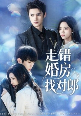 走错婚房找对郎（50集）刘辰锐＆刘艺然 (2025)-多米联创