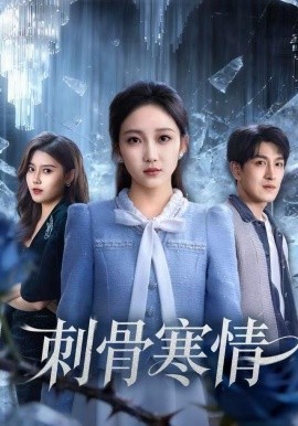 刺骨寒情（58集）林可汉＆马菲 (2025)-多米联创