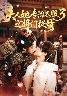 她专治不服3之将门捉婿（77集）王培延&李柯以 (2025)-多米联创