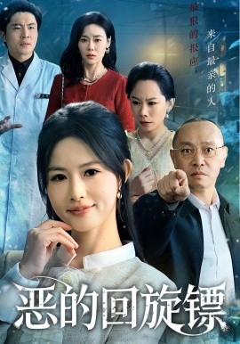 恶的回旋镖&恶的蝴蝶效应（60集）沈凯&王晴晴 (2025)-多米联创
