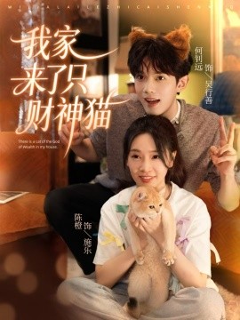 我家来了只财神猫(80集)何钊远&陈橙 (2025)-多米联创