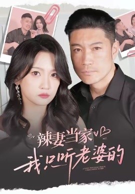 辣妻当家,我只听老婆的(50集)(2025)-多米联创