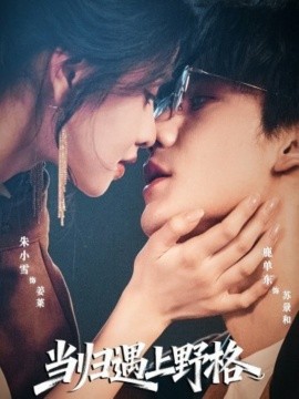 当归遇上野格（66集）鹿单东&朱小雪 (2025)-多米联创