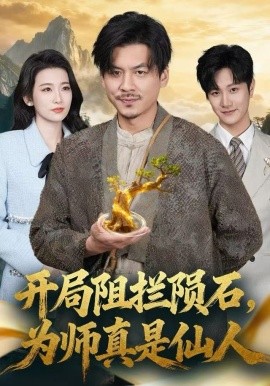 开局阻拦陨石，为师真是仙人（67集）王辉&王欣滢 (2025)-多米联创