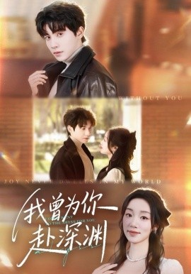 我曾为你赴深渊（63集）吴宇航＆麦童 (2025)-多米联创