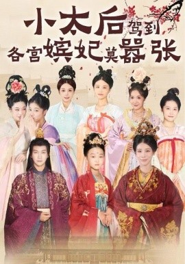 小太后驾到，各宫嫔妃莫嚣张（67集）倪菲菲&郭鑫 (2025)-多米联创