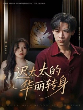 迟太太的华丽转身(80集)胡金池&路婷 (2025)-多米联创