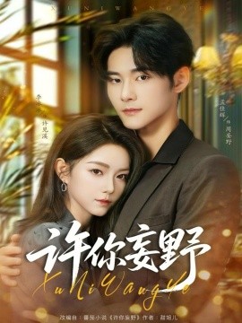 许你妄野（80集）孟佳辉＆李冰冰 (2025)-申水仓