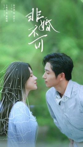 非婚不可（65集）王凯沐＆刘夕语 (2025)-申水仓