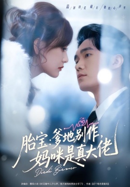 胎宝：爹地别作，妈咪是真大佬（60集）宋哲伦&张婉芳 (2026)-58创客