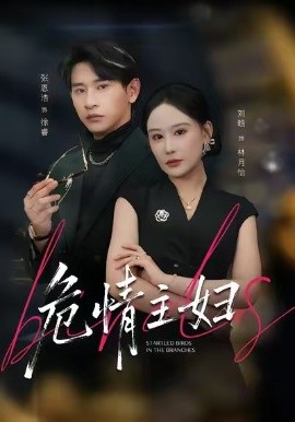 危情主妇（60集）刘晗&张恩浩&邱潇 (2026)-58创客