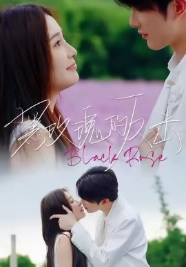 黑玫瑰的反击（47集）裘哲夫＆焦娇 (2026)-58创客