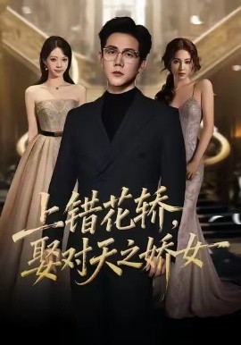 上错花轿，娶对天之娇女（66集）龙泽鸣＆董炜 (2026)-58创客