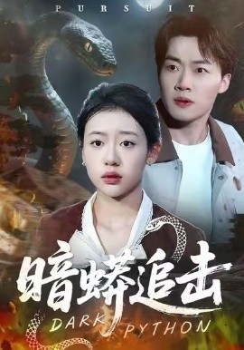 暗蟒追击（35集）王盈心＆赵文硕 (2026)-58创客