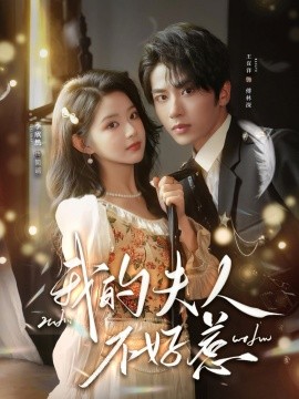 我的夫人不好惹&你好,我的旅长夫人(60集)王宜洋&李欣然 (2026)-58创客