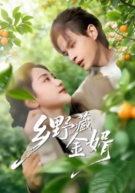 乡野藏金婿（50集）冯琳玲＆吴杰 (2026)-58创客